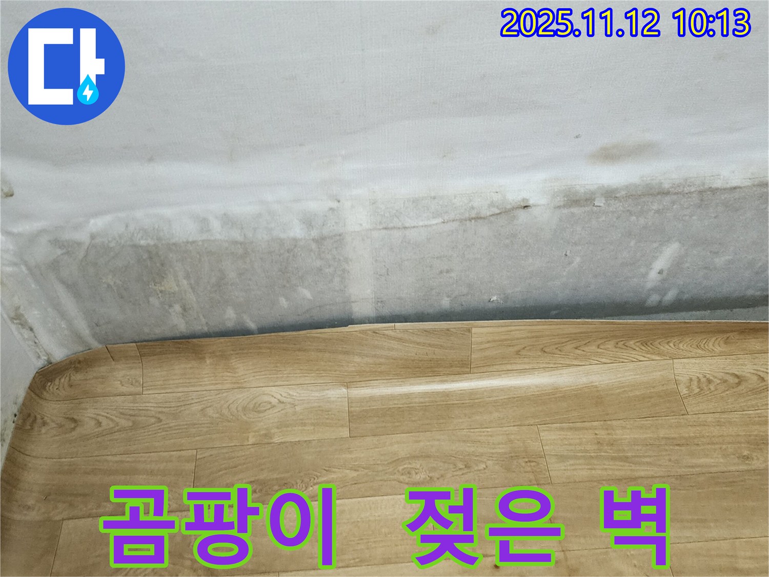 무봉리 누수 현장 - 곰팡이 냄새와 젖은 벽, 누수 초기 증상일 수 있습니다 - 지금 바로 점검하세요.
