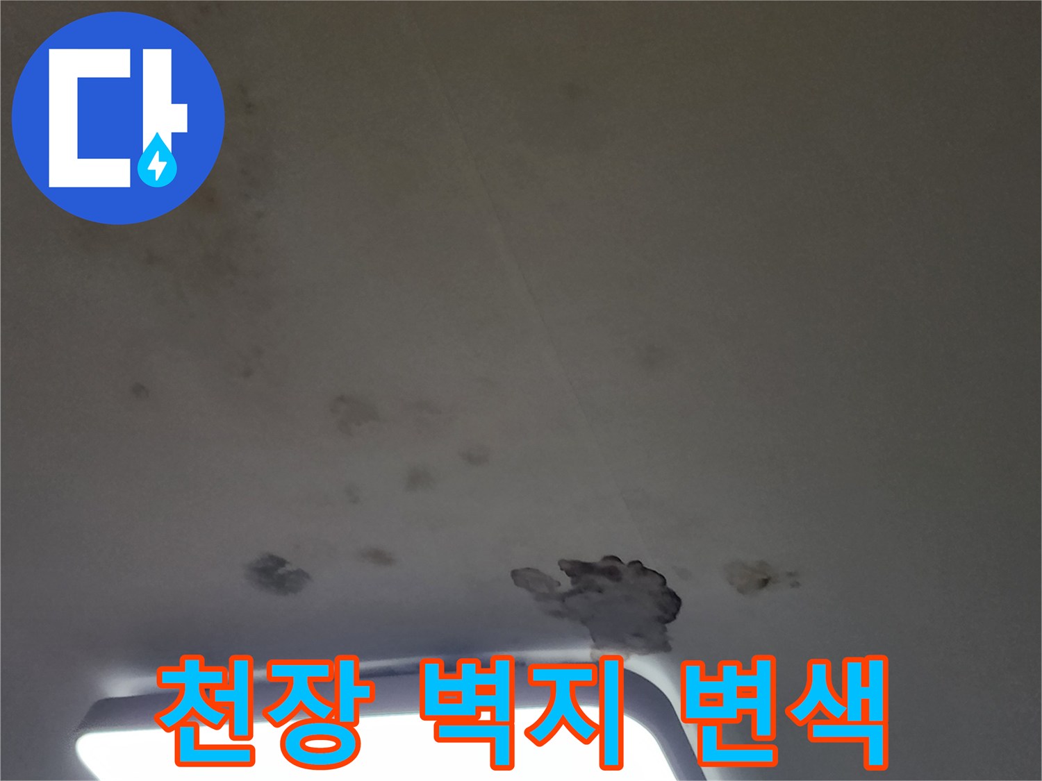 물에 젖어 변색된 천장 벽지와 얼룩 부위