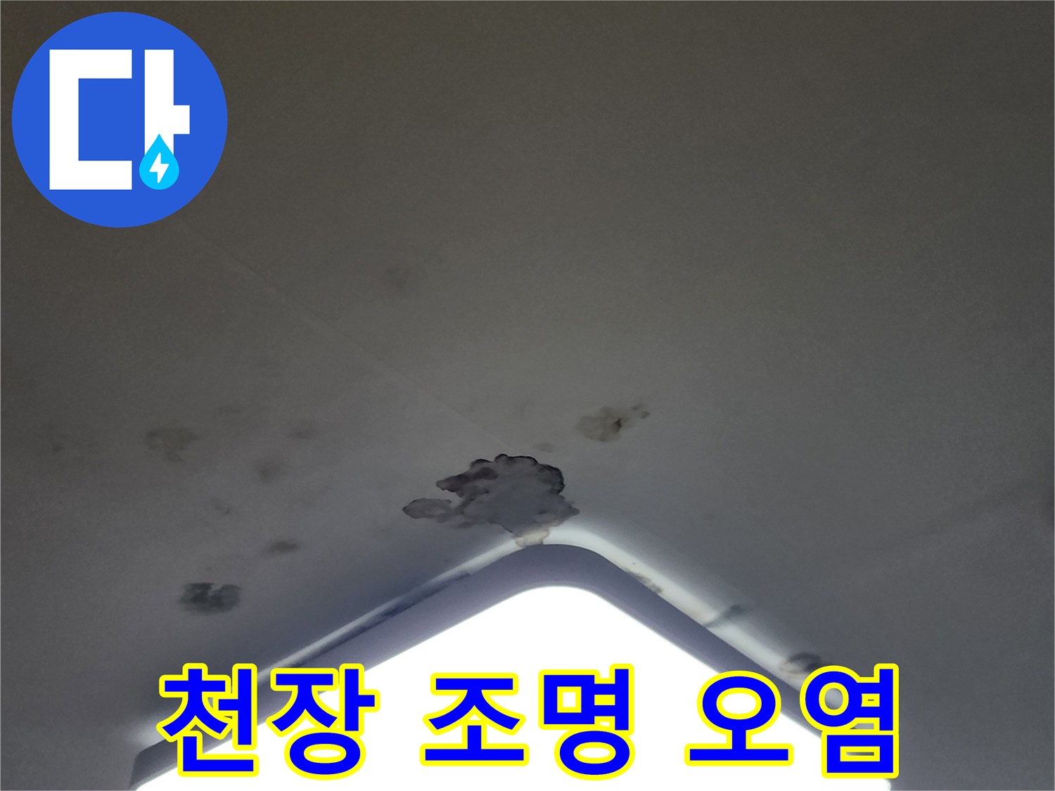 밝은 조명 주변으로 퍼진 어두운 곰팡이 및 물 얼룩 부위