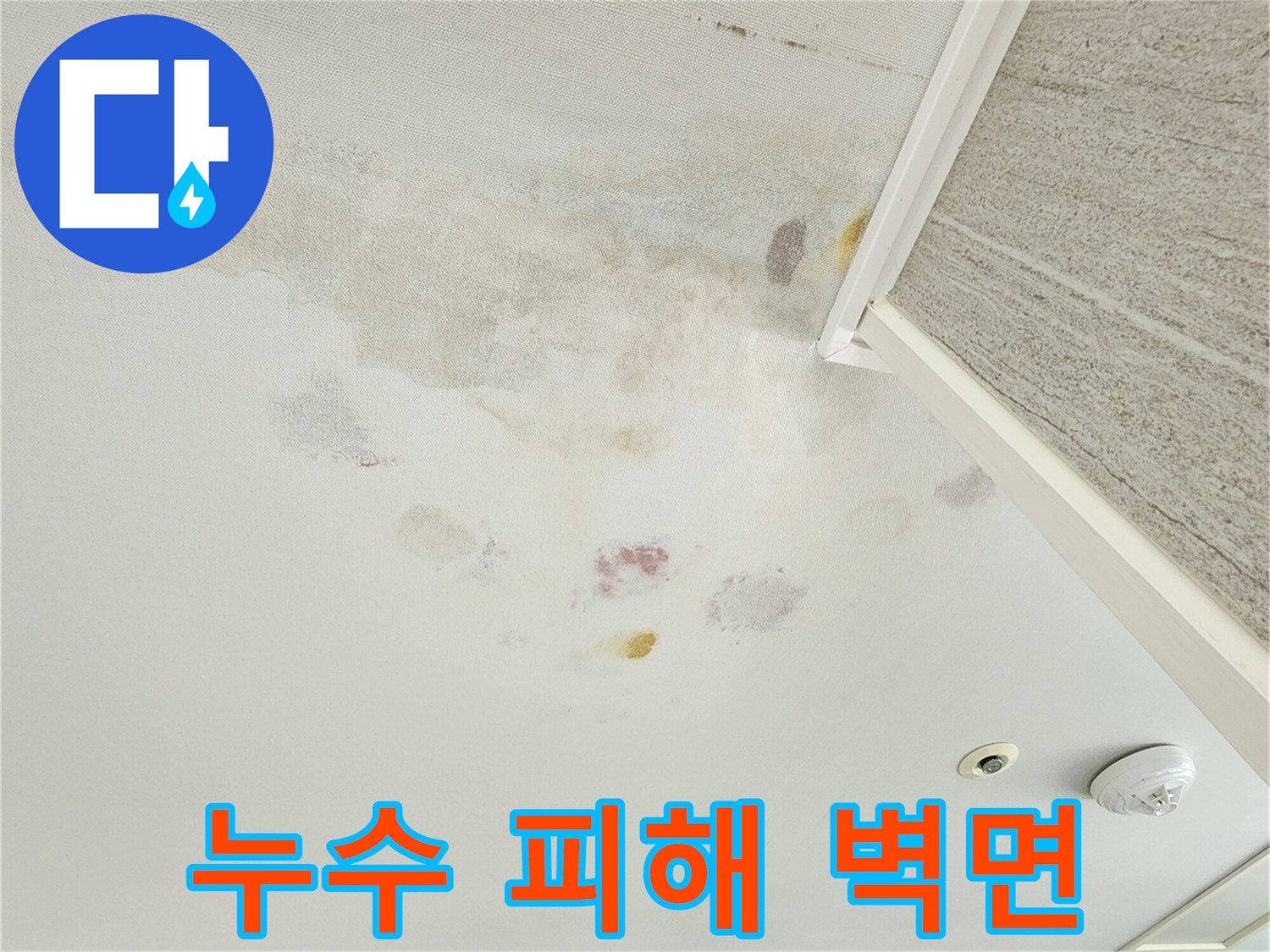 벽면 곳곳에 나타난 누수 흔적과 곰팡이 자국