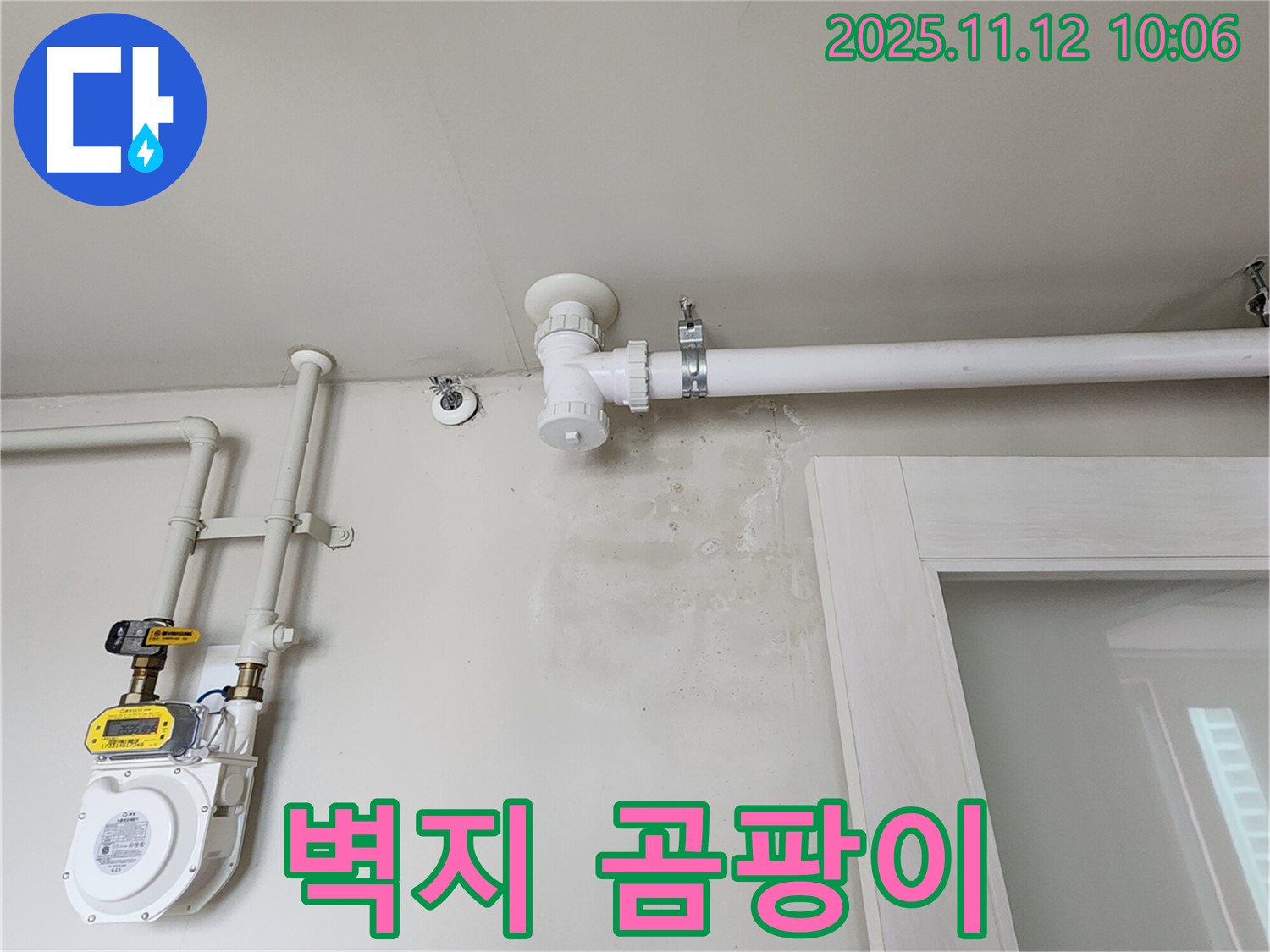 벽지 곰팡이 - 습기로 인한 손상! 누수 점검은 필수!
