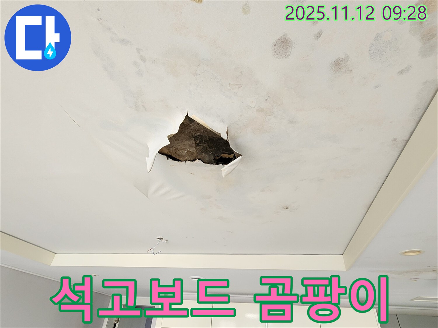 석고보드 곰팡이 - 석고보드 표면에 곰팡이가 심하게 번식한 모습입니다.