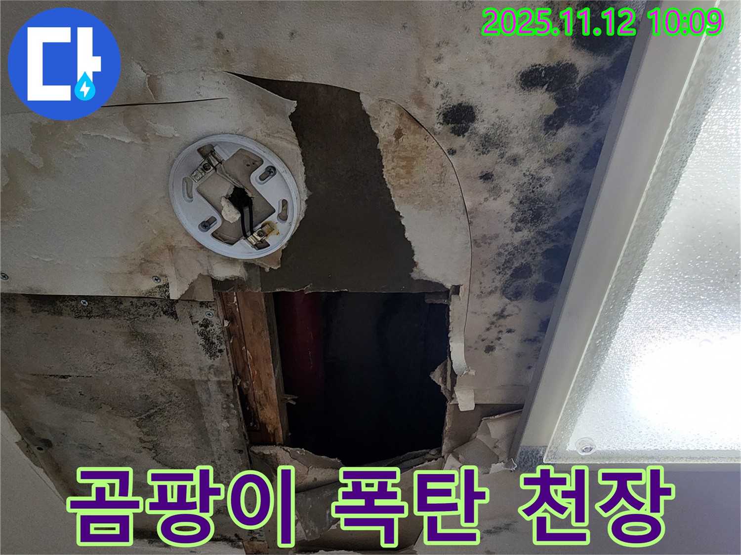 심각한 곰팡이 천장 - 누수 문제의 심각성을 보여주는 이미지