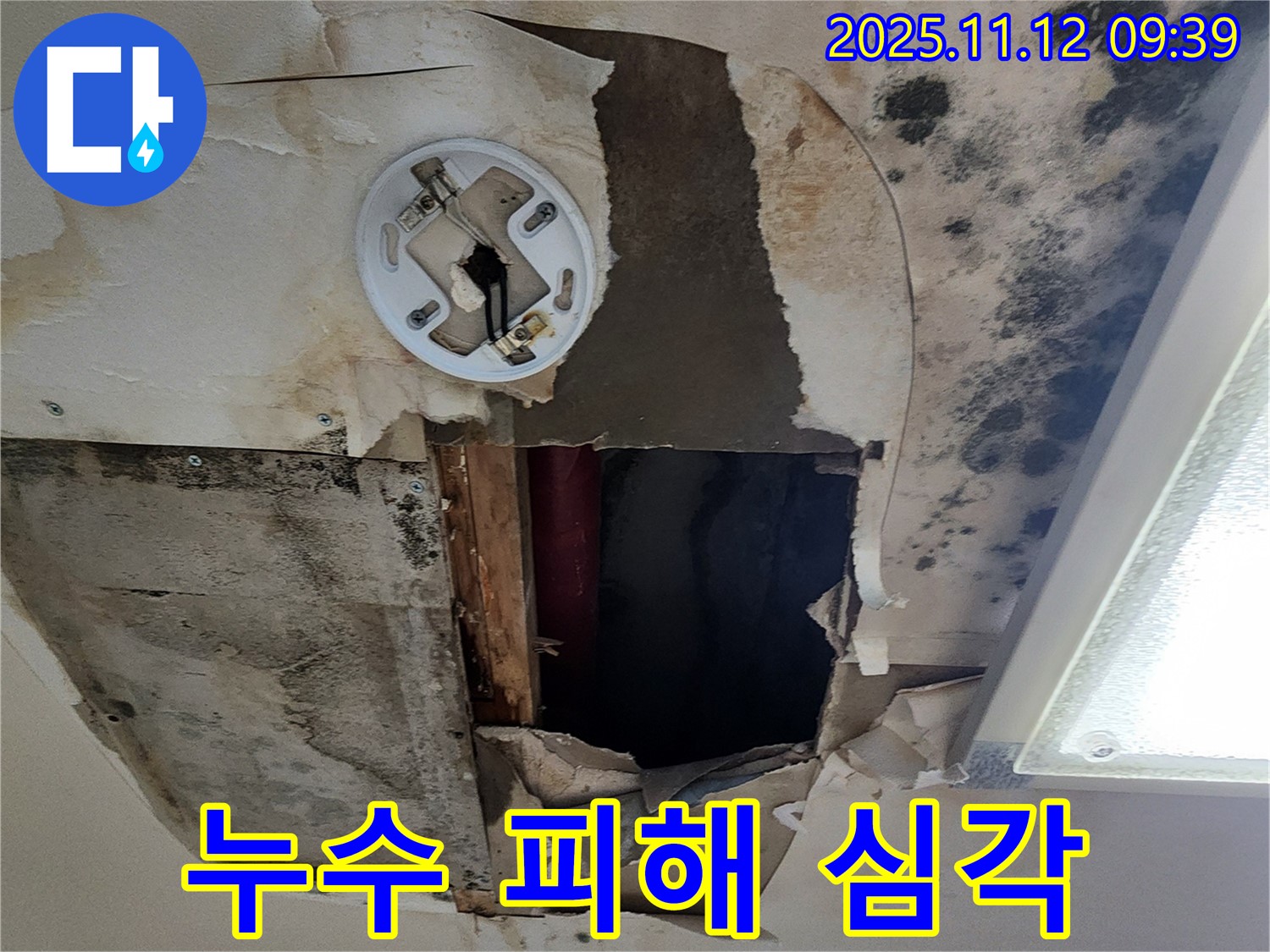 심각한 누수 피해 - 천장 손상, 곰팡이 발생, 전기 설비 위험 등 복합적인 문제 발생 가능성