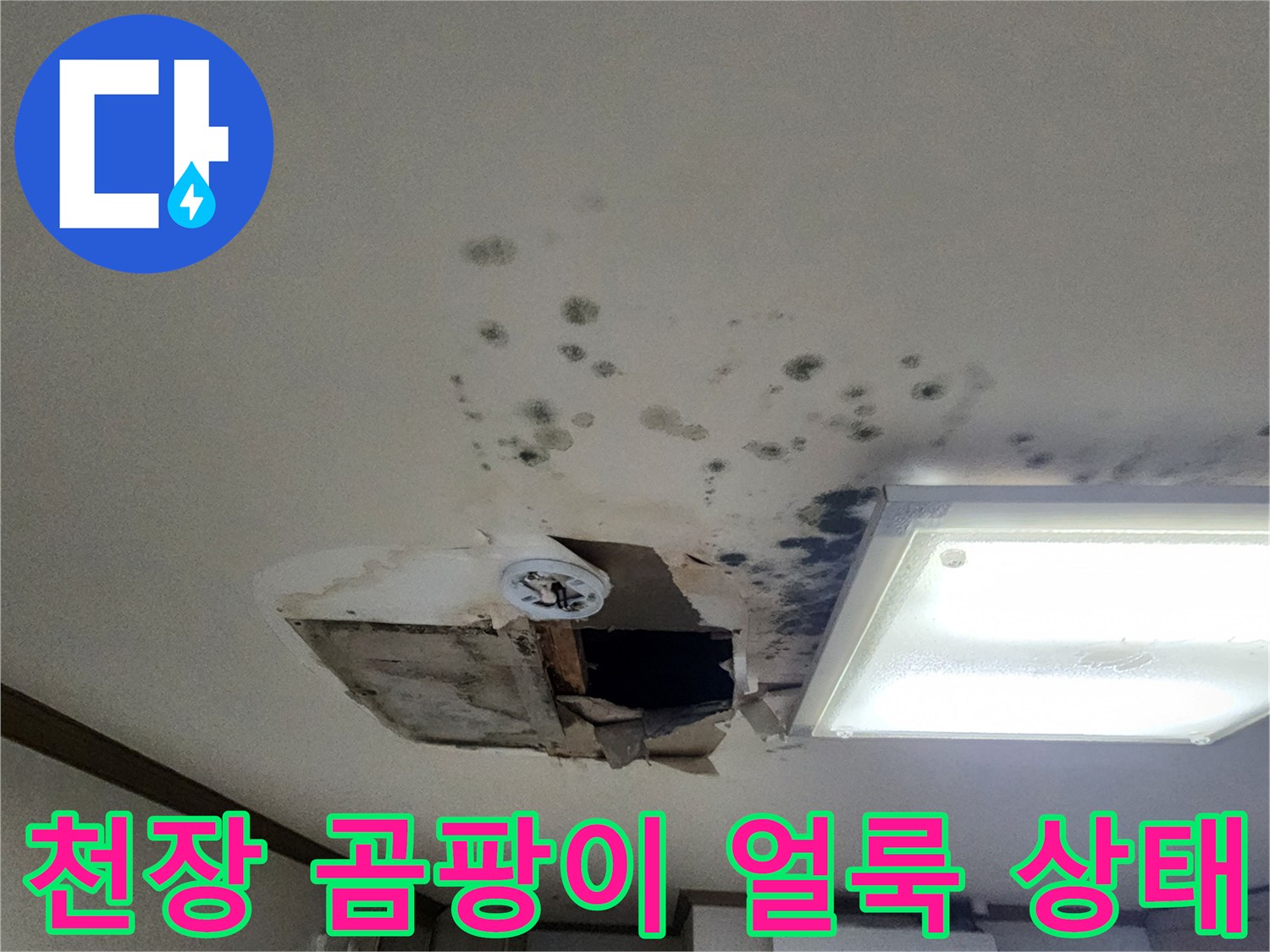 아파트 거실 천장에 번져 있는 곰팡이와 물자국 흔적