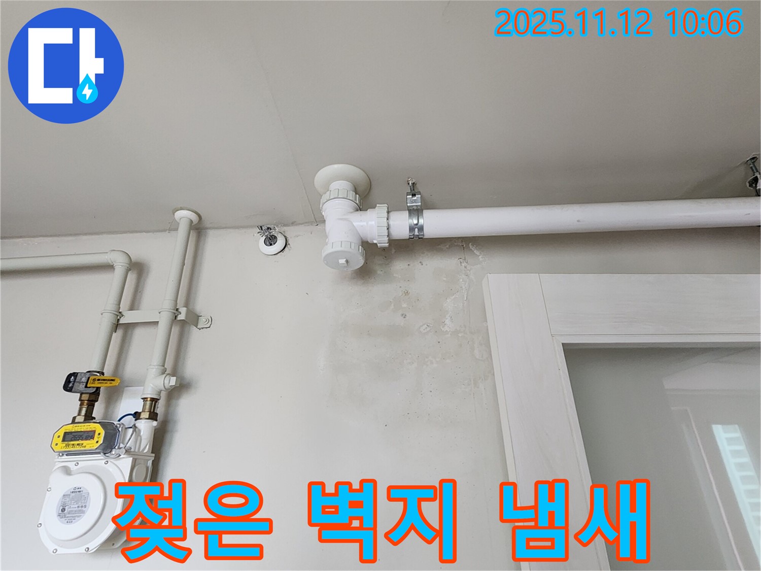 젖은 벽지 냄새 - 곰팡이 포자가 확산되고 있어요! 건강에 적신호!