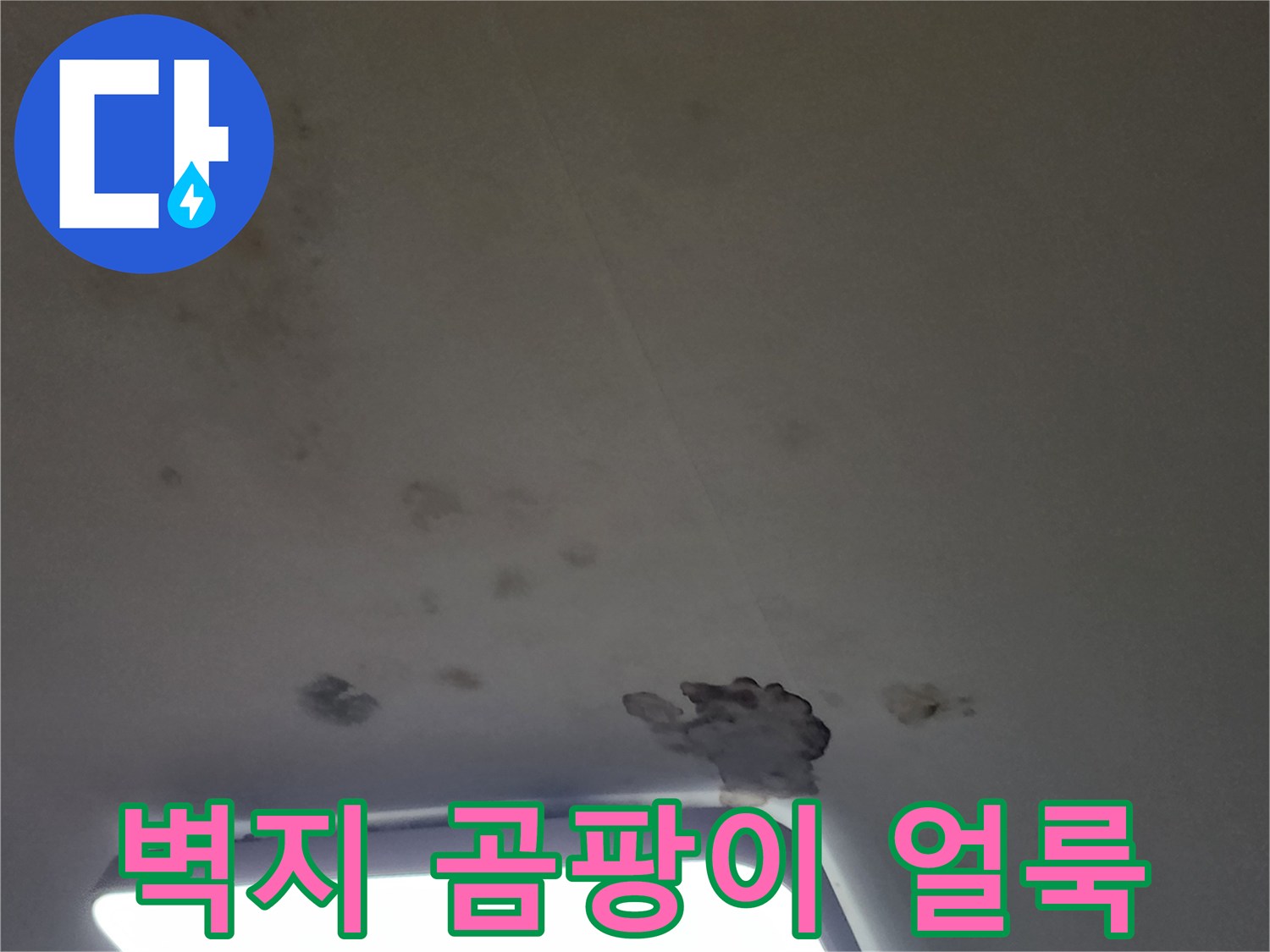 조명 주변부의 심한 변색과 곰팡이 발생 현황