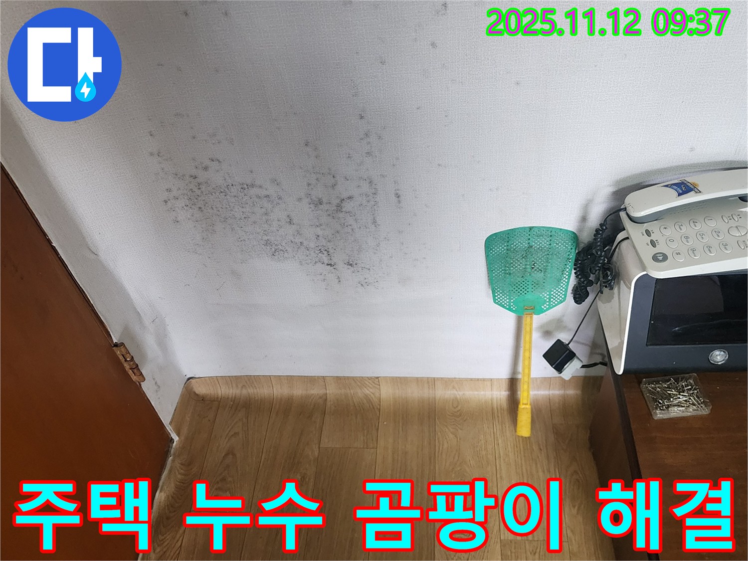 주택 벽 곰팡이 - 누수탐지를 통해 곰팡이 문제를 해결하고 안심하고 생활하세요!