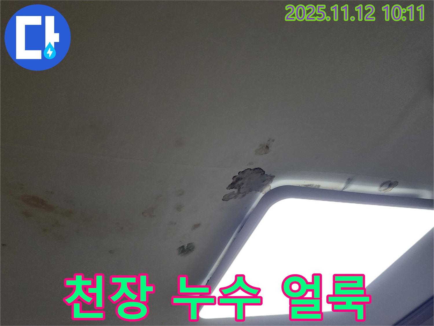 천장 누수 얼룩 - 누수로 인한 얼룩과 곰팡이