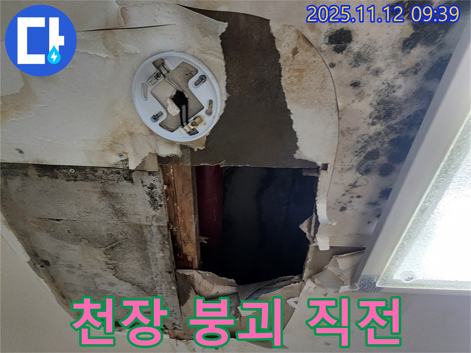 천장 붕괴 직전의 심각한 누수 상황 - 즉시 전문가의 긴급 진단과 복구가 필요