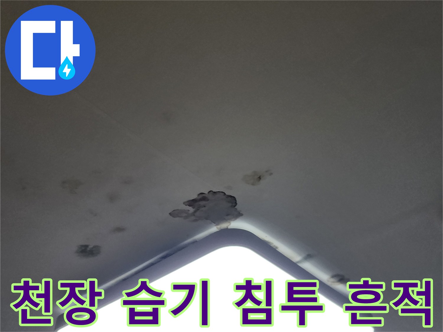 천장 조명 근처의 곰팡이와 물자국이 있는 아파트 천장 마감재
