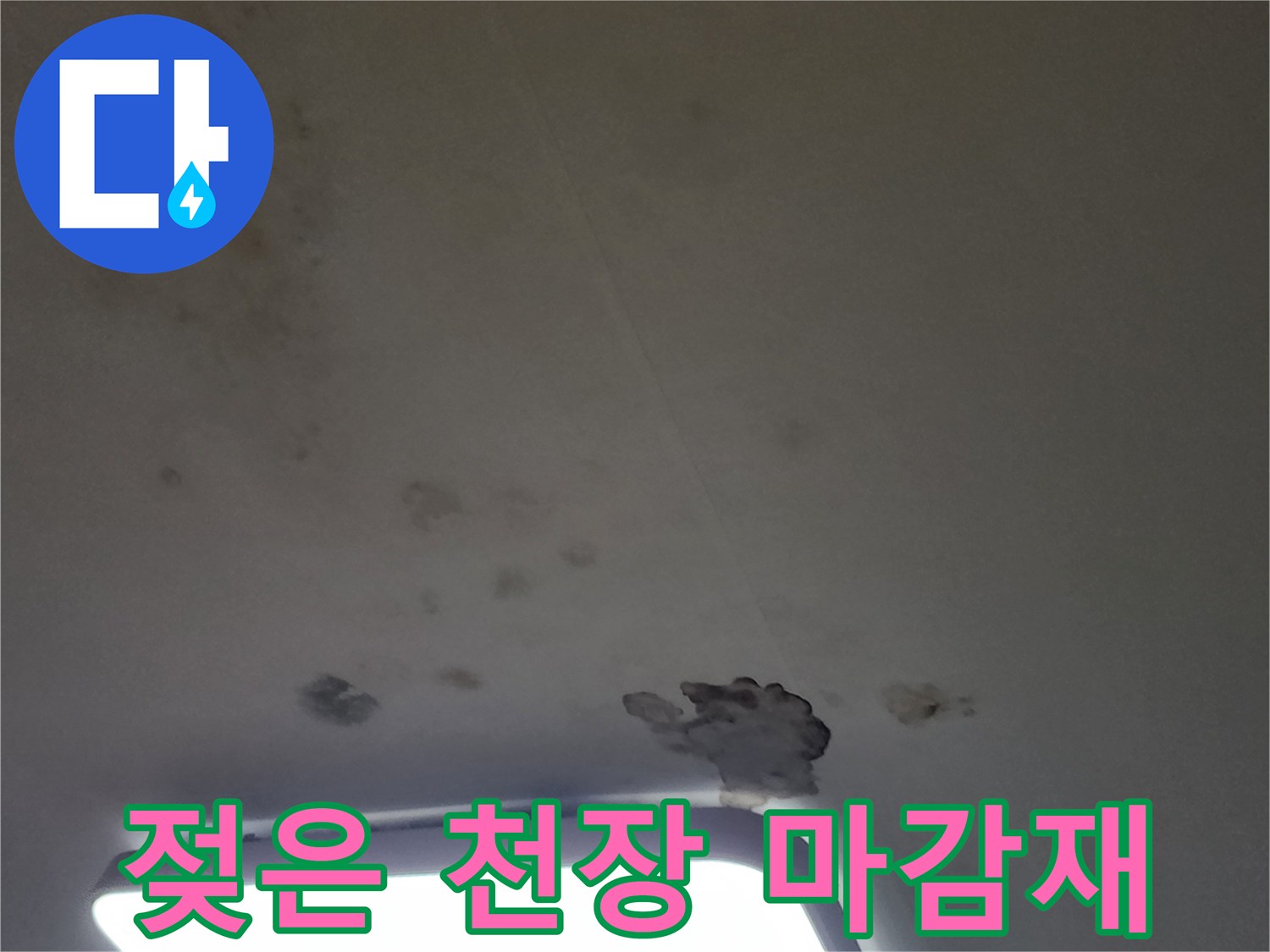 천장 조명 주변의 곰팡이와 물 얼룩 분포 상태