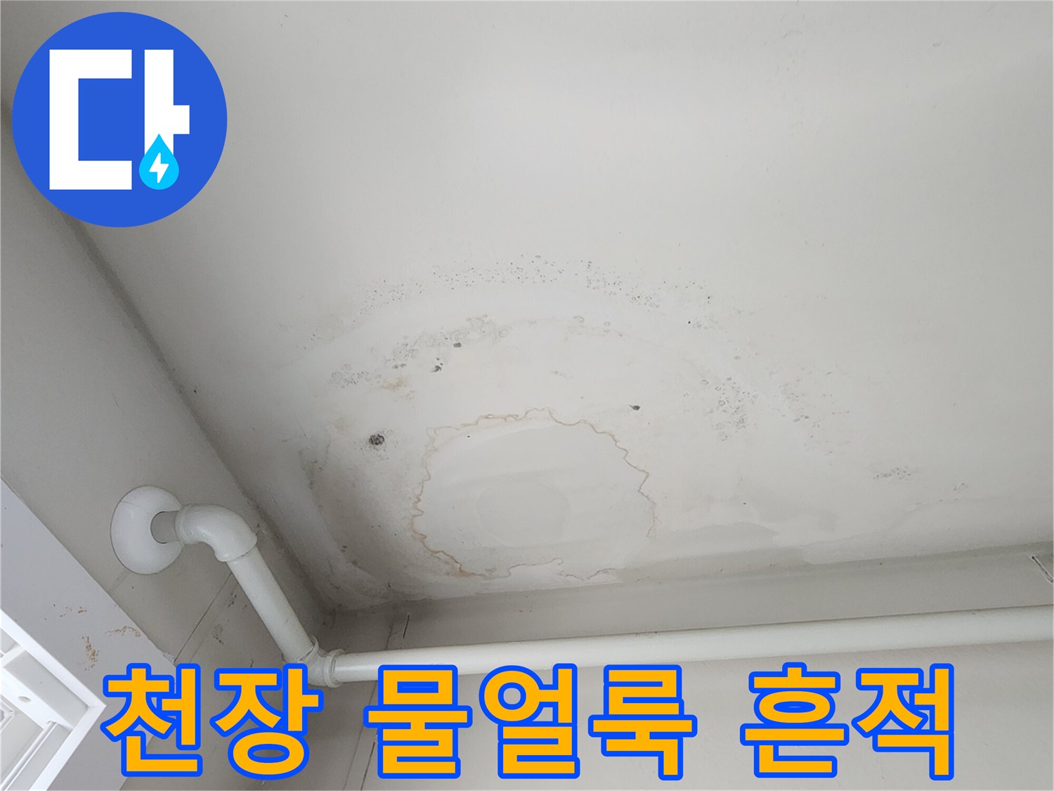 포천 무봉리 현장-천장 마감재에 발생한 커다란 물얼룩과 습기 흔적