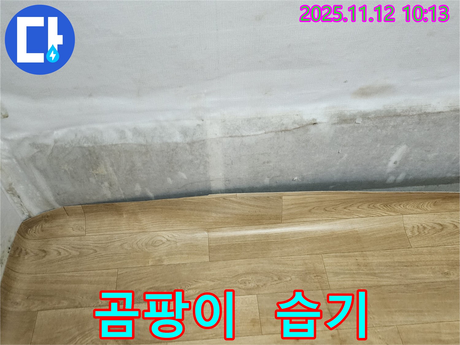 포천 소흘읍 누수 현장 - 벽에 곰팡이와 장판 밑 습기, 누수 해결 방법을 찾아보세요 - 전문가와 상담하세요.