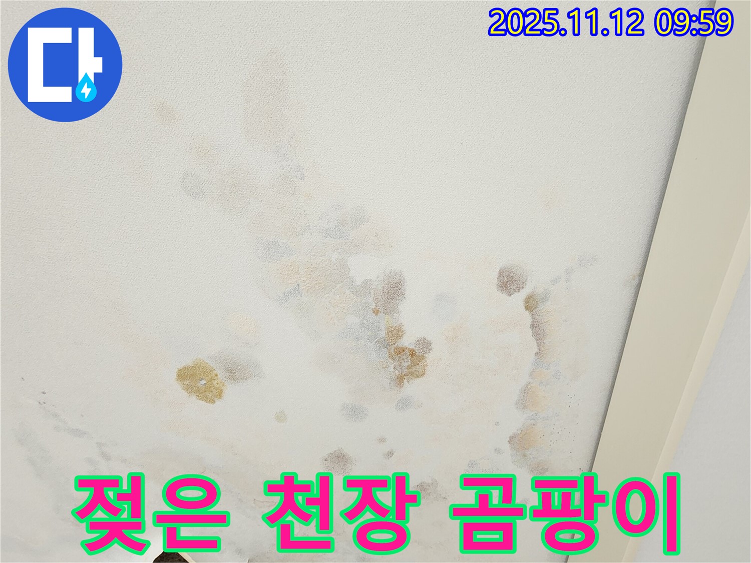 포천 소흘읍 무봉리 누수 현장 - 젖은 천장과 곰팡이