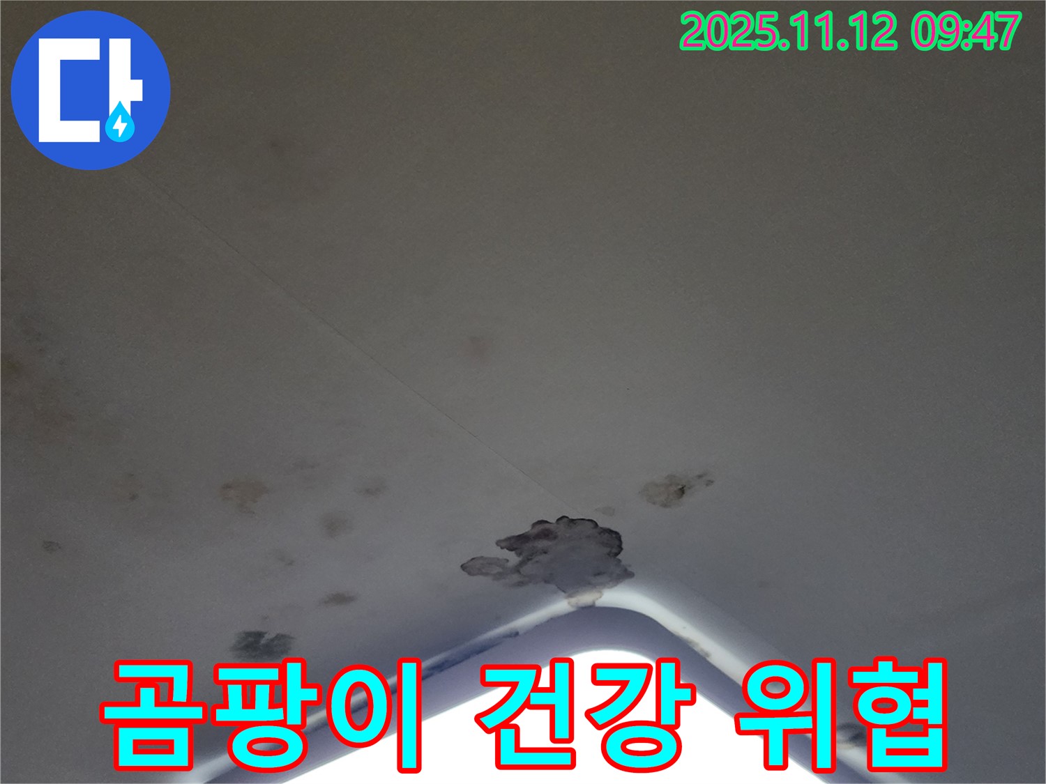 포천 소흘읍 - 천장 누수, 석고보드 손상 및 곰팡이 발생 - 건강 위협