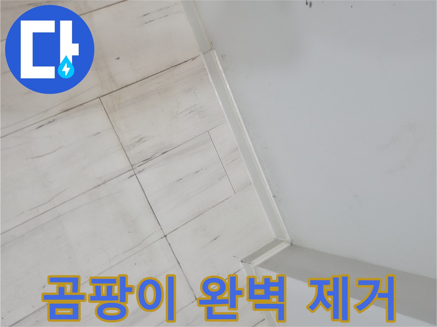신림동 빌라 장판 밑 곰팡이 누수 - 누수 걱정 없는 편안한 생활