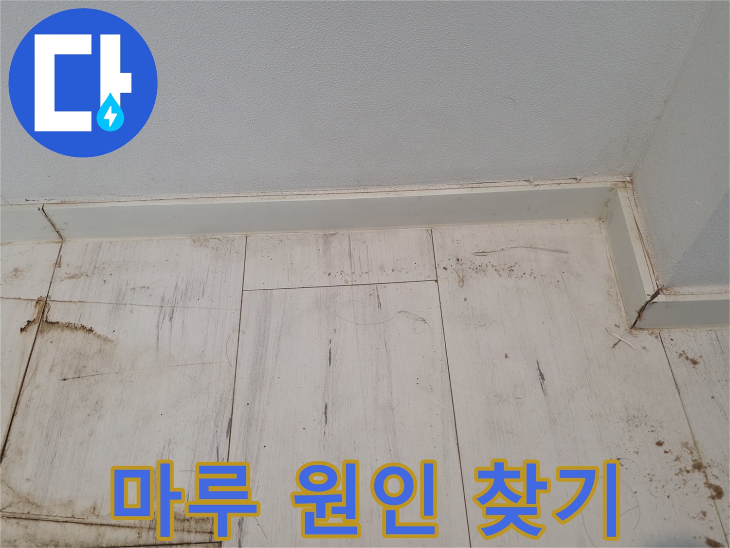 관악구 누수 - 마루 누수 원인 찾기 위한 점검