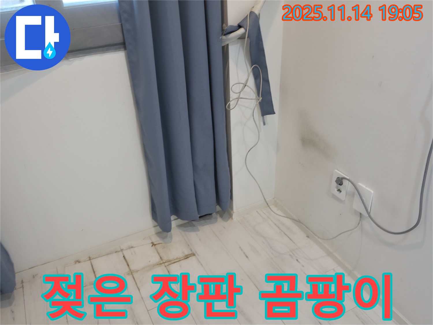 관악구 신림동 누수 - 젖은 장판과 벽 곰팡이 - 누수 초기 발견