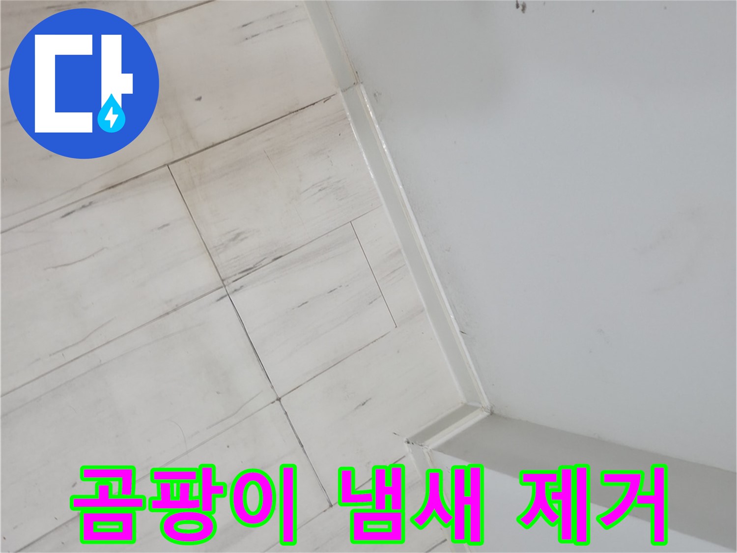 관악구 장판 밑 곰팡이 누수 정밀 진단 및 해결