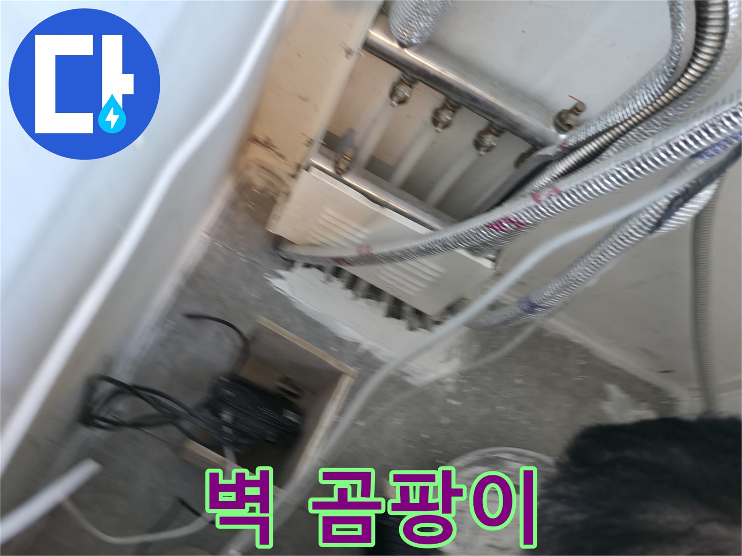 신림 하이츠빌라 분배기 - 주변 벽 곰팡이, 누수 의심