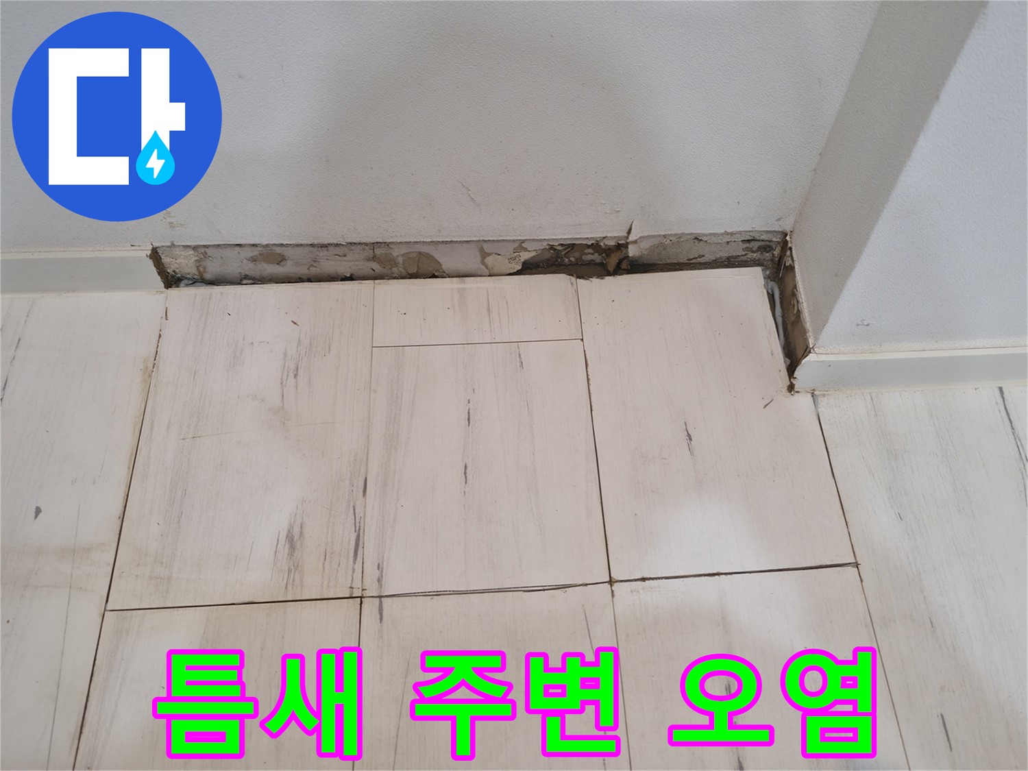 신림동 관악구 누수 - 틈새 주변 오염 확인 - 곰팡이 발견
