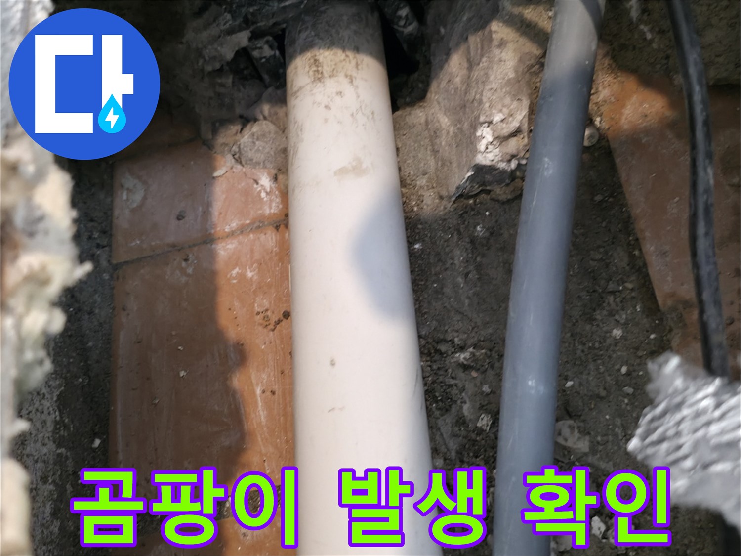 신림동 누수 - 벽면 곰팡이 발생 여부 확인 - 간접 징후