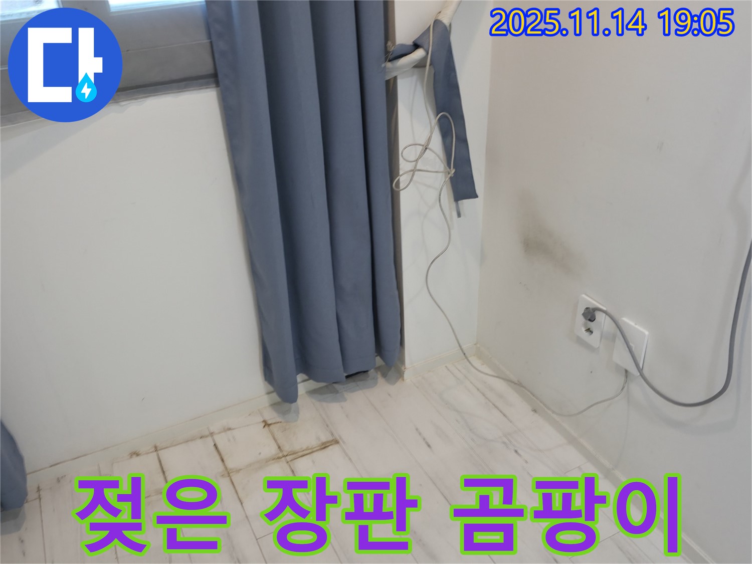 신림동 누수 - 젖은 장판과 벽 모서리 곰팡이 - 누수 초기 발견