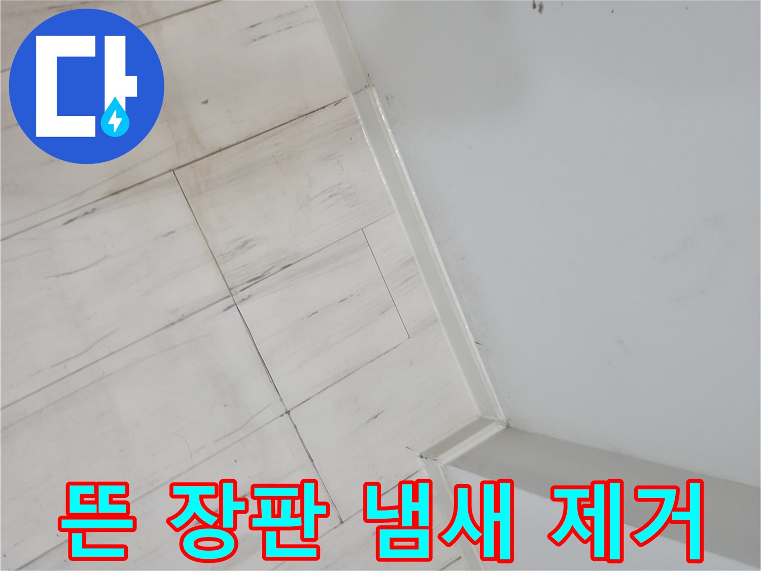 신림동 뜬 장판 - 곰팡이 냄새 제거