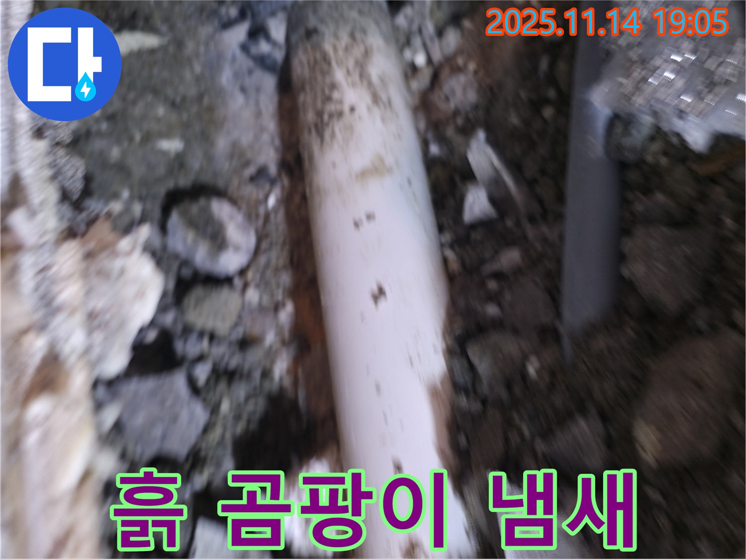 신림동 빌라 누수 - 흙 속 배관 주변 흙에서 곰팡이 냄새가 나는지 확인 - 습하고 오염된 환경
