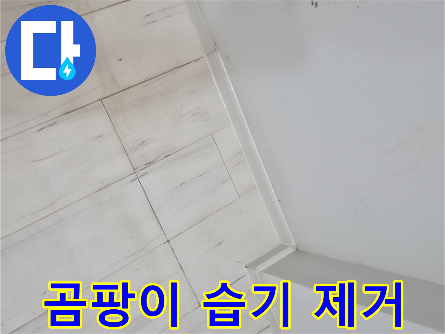 신림동 실리콘 곰팡이 - 습기 누수 해결 전문가