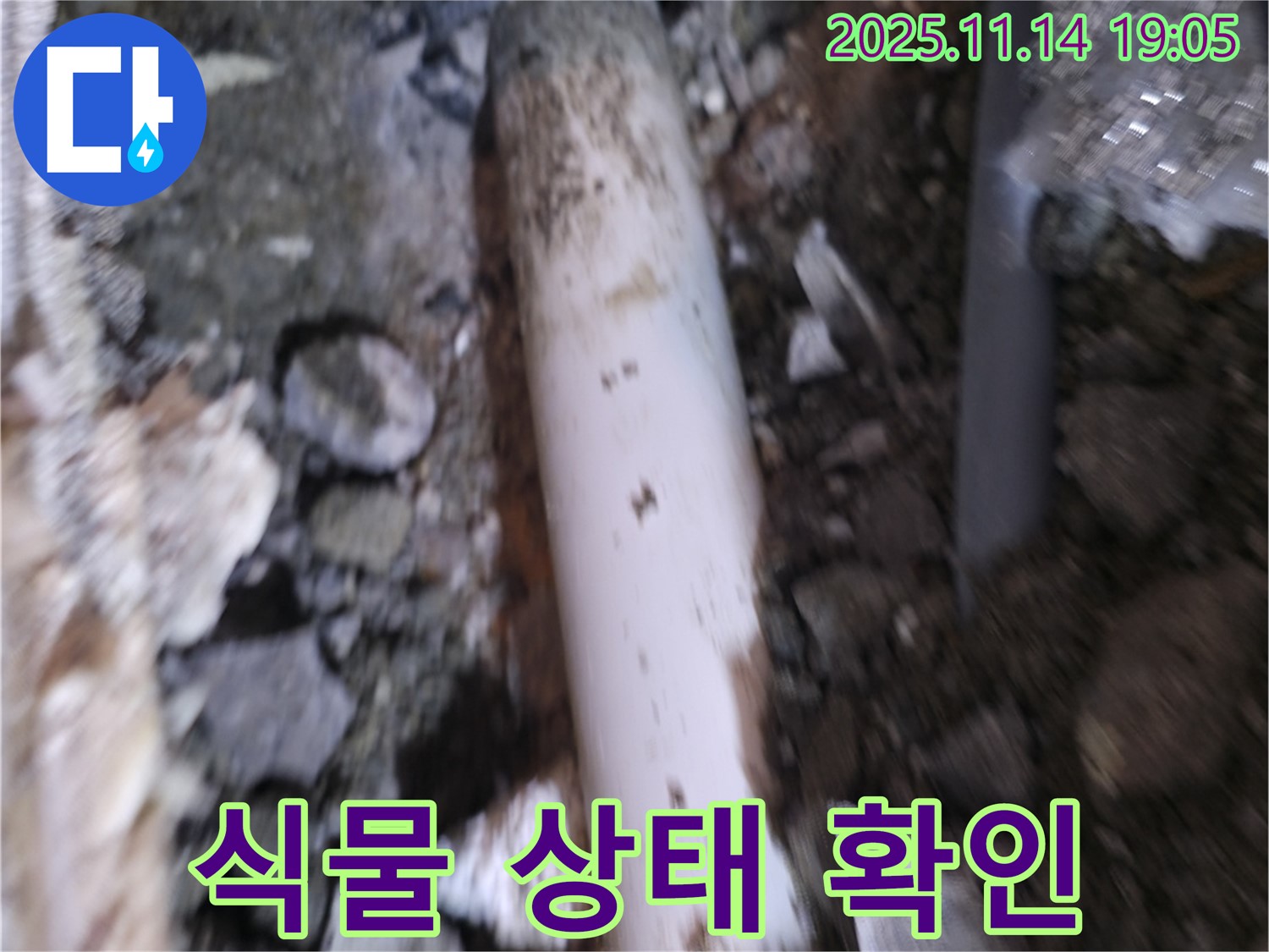 신림하이츠빌라 누수 - 흙 속에 묻힌 배관 주변 식물의 생육 상태를 확인하여 누수 판단