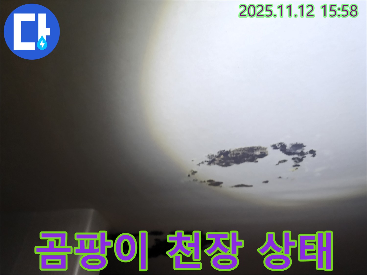 군내면 - 곰팡이가 심각하게 번진 천장 누수 현장
