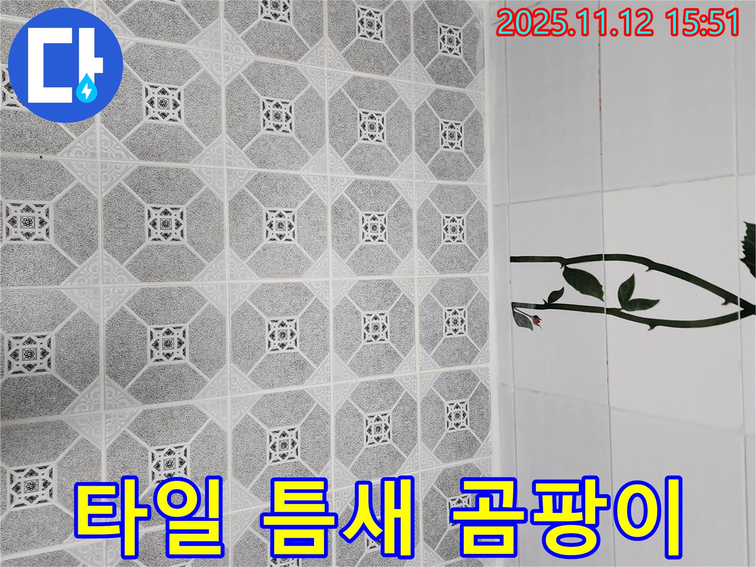 군내면 구읍리 타일 틈새 곰팡이 - 천연 제거제 활용