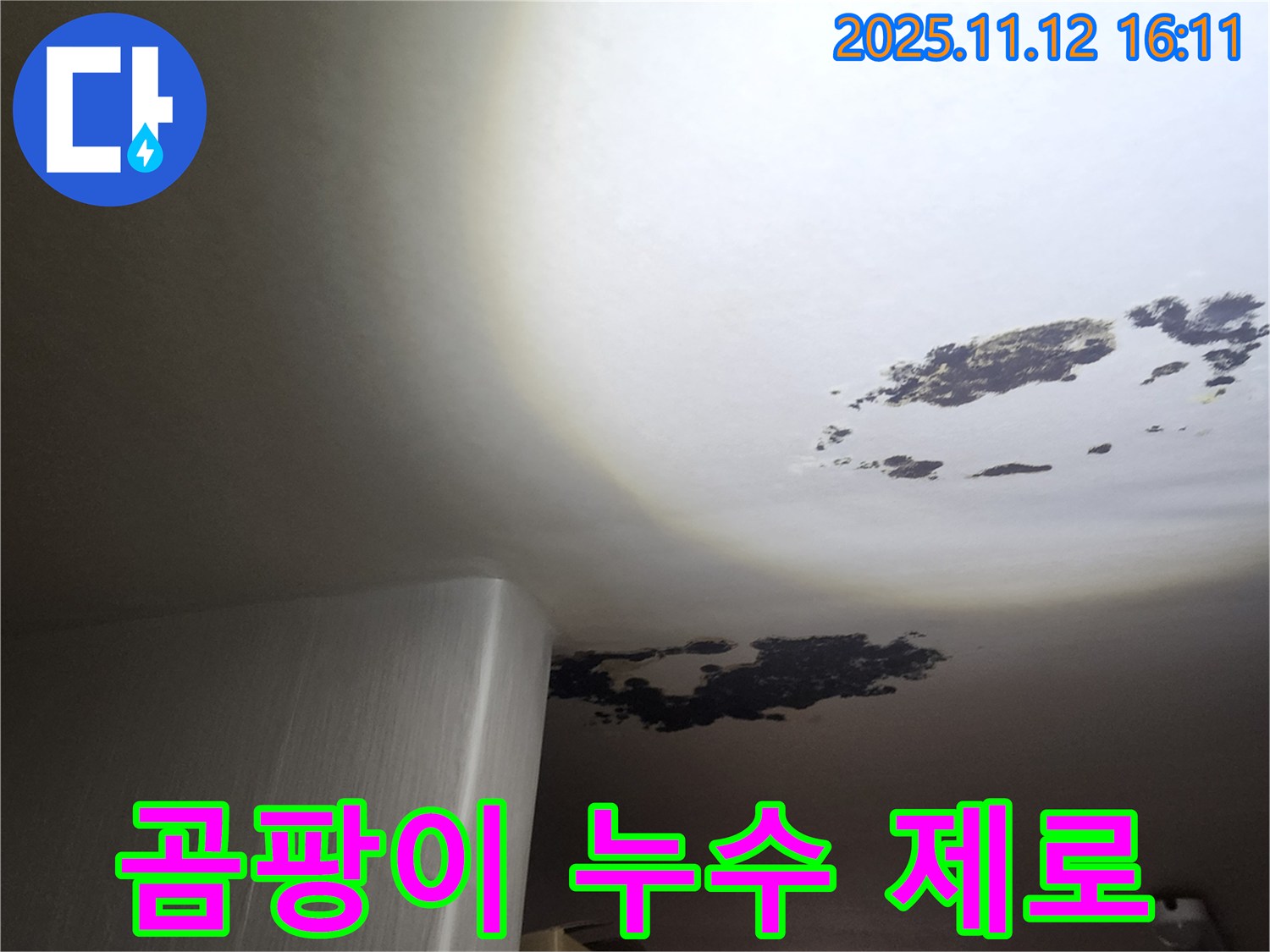 군내면 누수 - 곰팡이와 누수 제로, 뽀송뽀송 주거환경