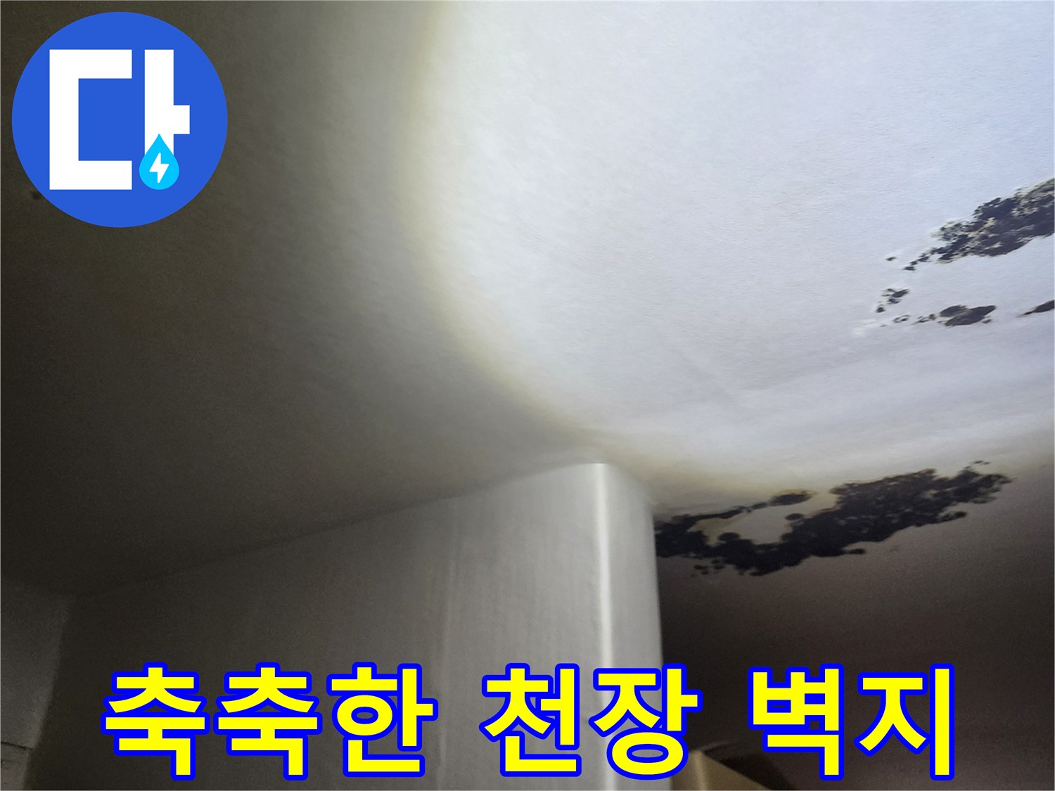 심각하게 오염된 천장 부위의 모습