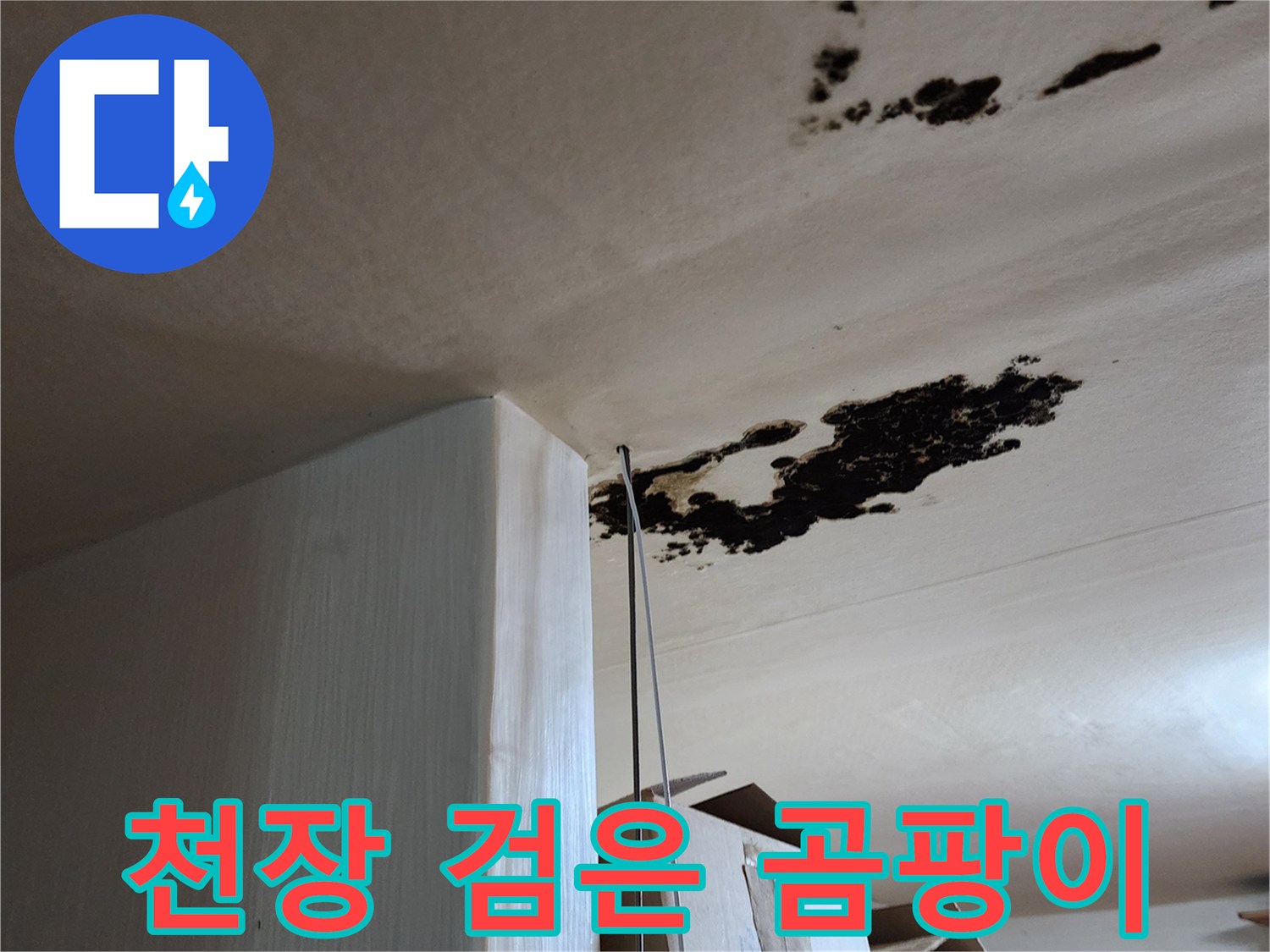 심각한 오염 상태를 보이는-천장 부분의 곰팡이와 얼룩