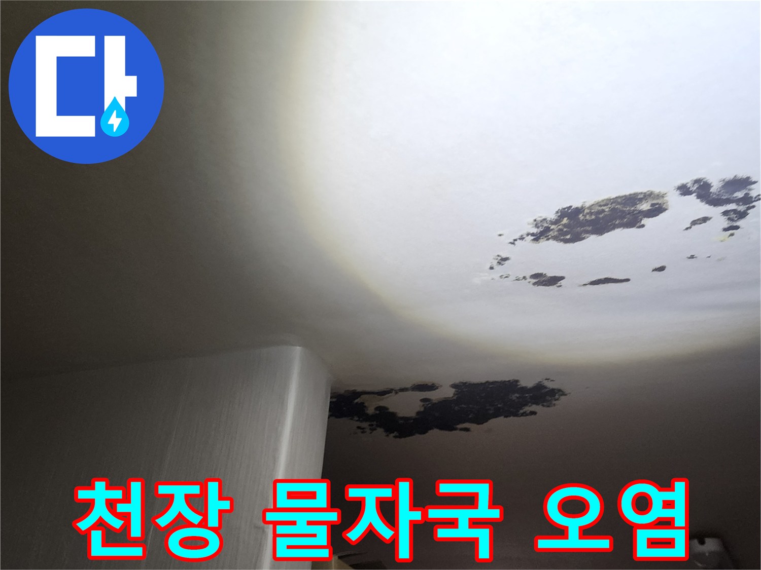 심하게 변색된-천장 도배지 및 곰팡이 발생 부위