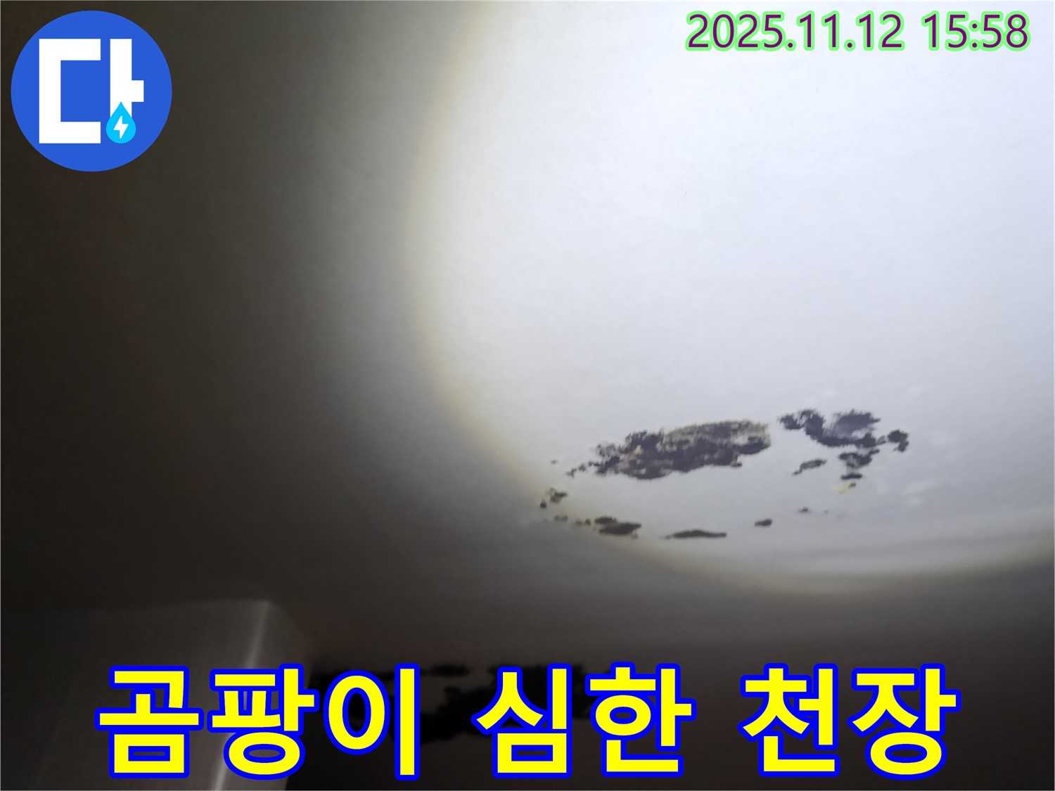 용정리 - 곰팡이가 심하게 핀 천장 누수 현장