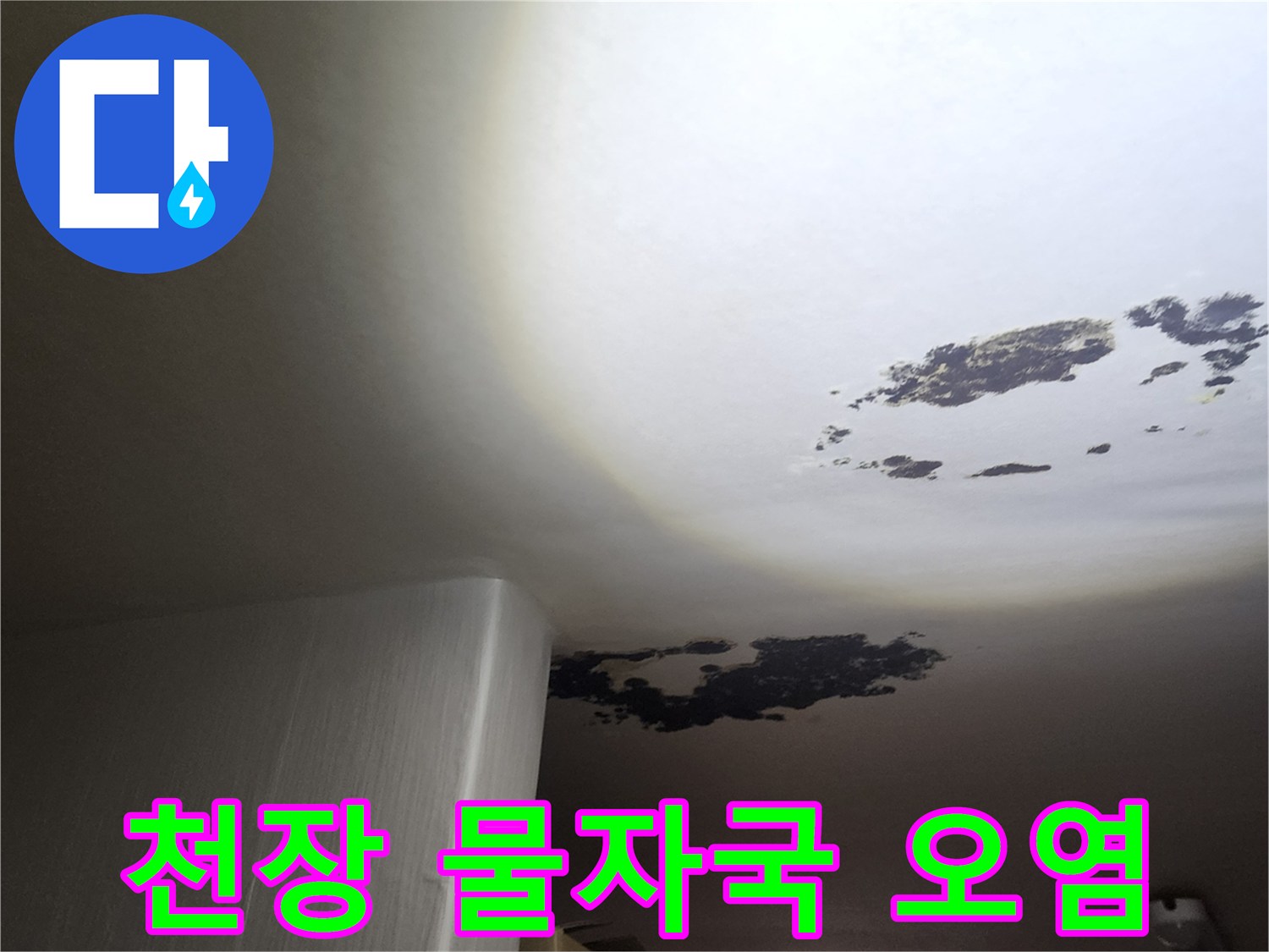 천장 마감재-심하게 변색된 곰팡이와 누수 흔적