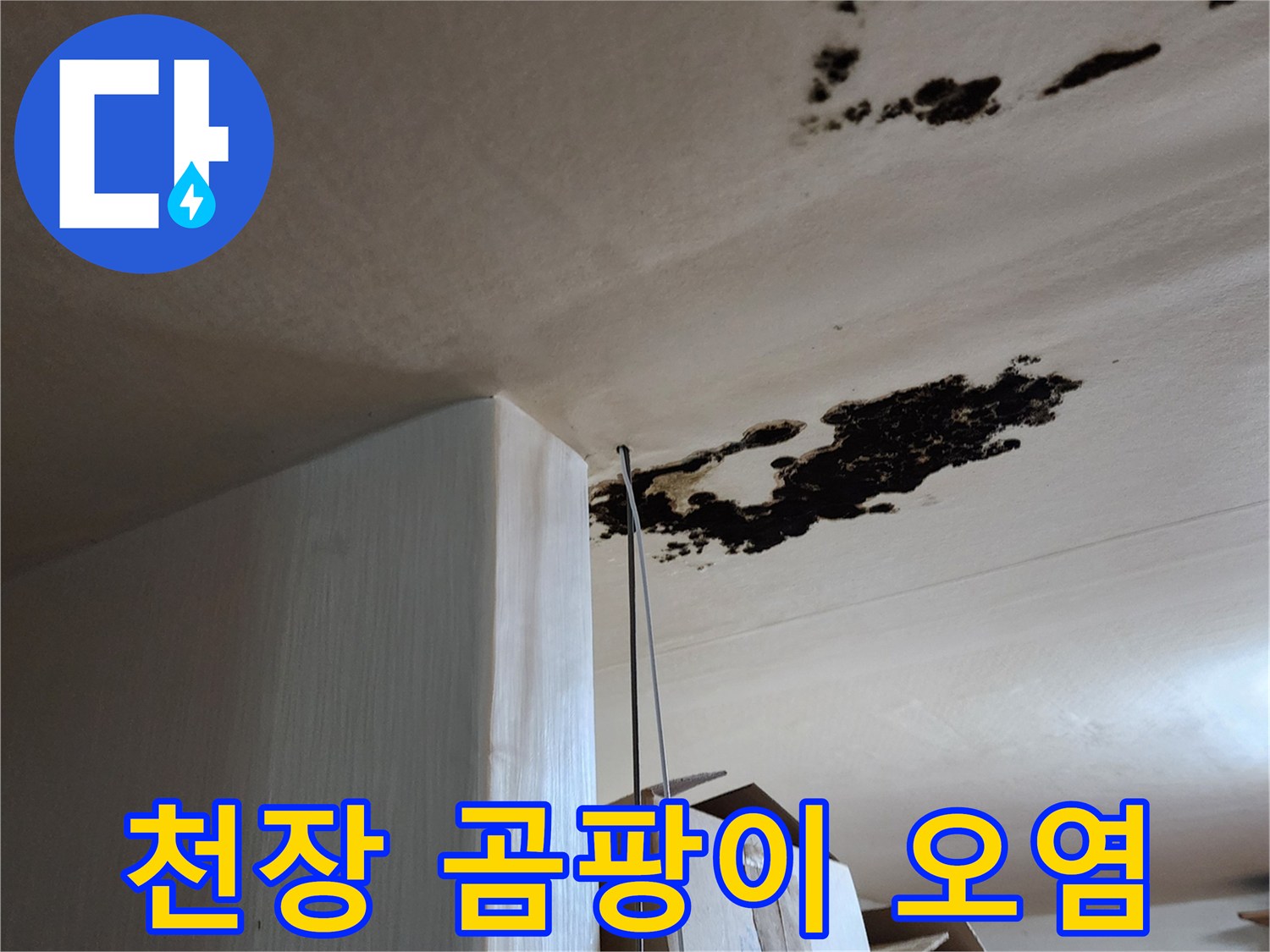 천장 마감재에 넓게 퍼진 검은색 곰팡이와 누수 흔적