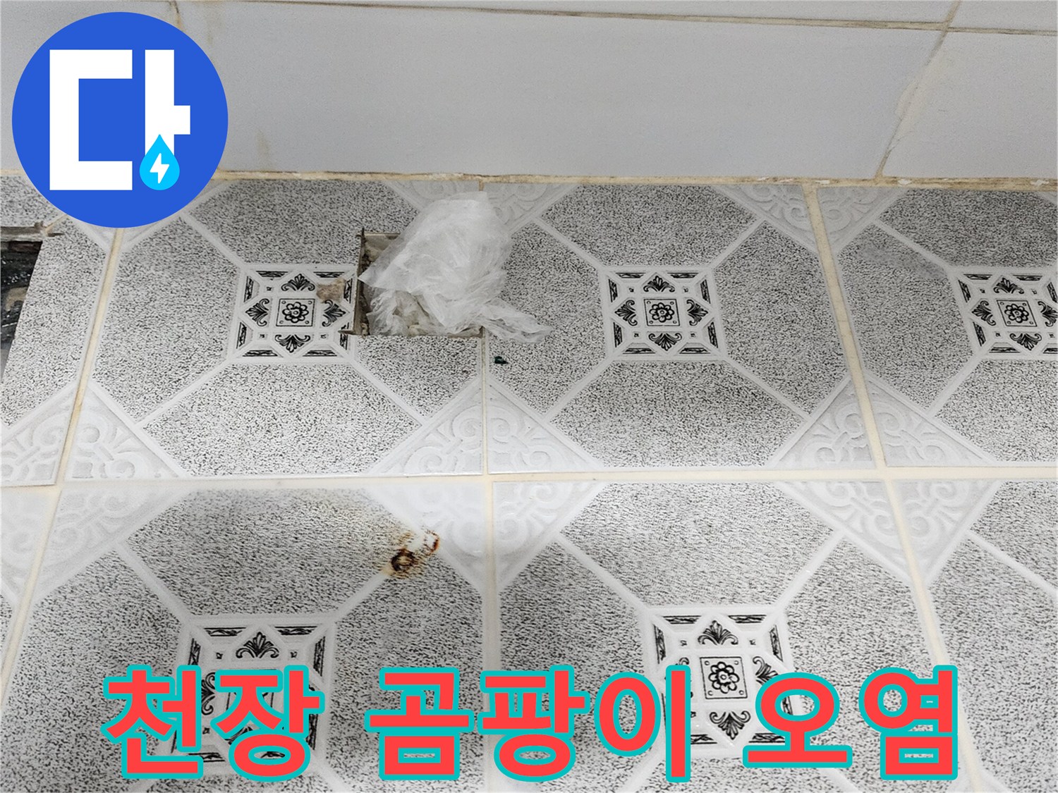 포천 구읍리 건물-천장 텍스에 발생한 곰팡이와 물자국