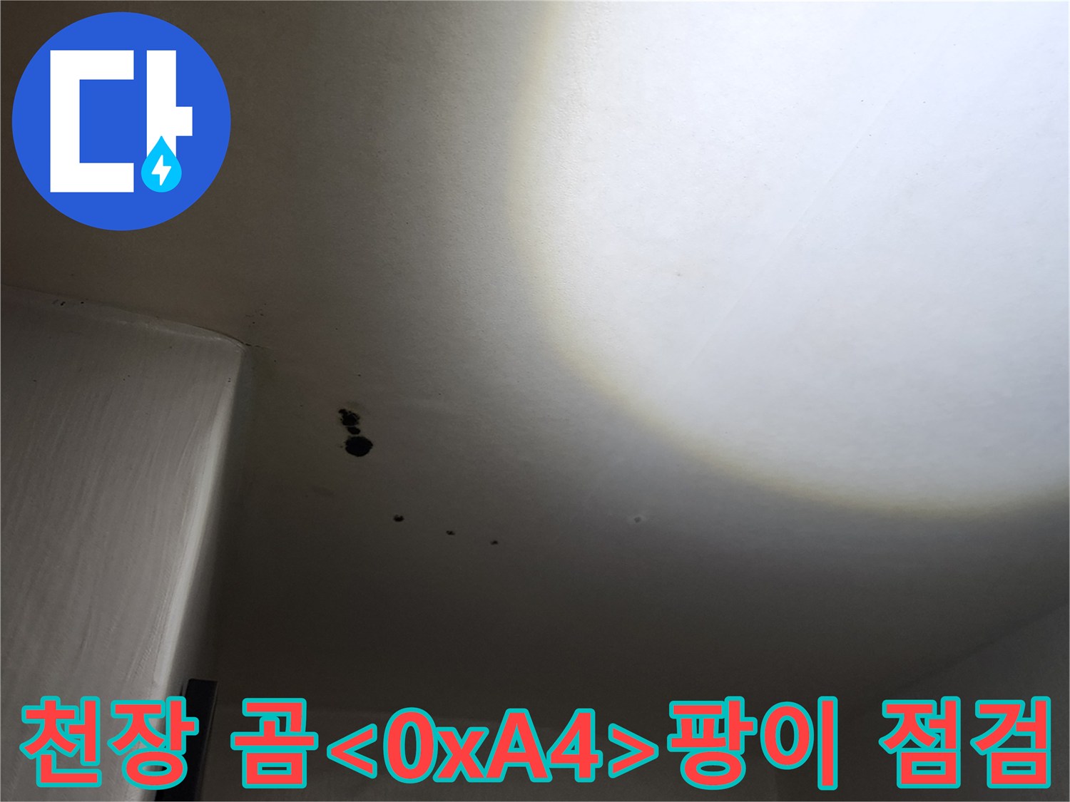 포천 구읍리 누수 현장-천장 내부 오염 및 곰팡이 상태 확인