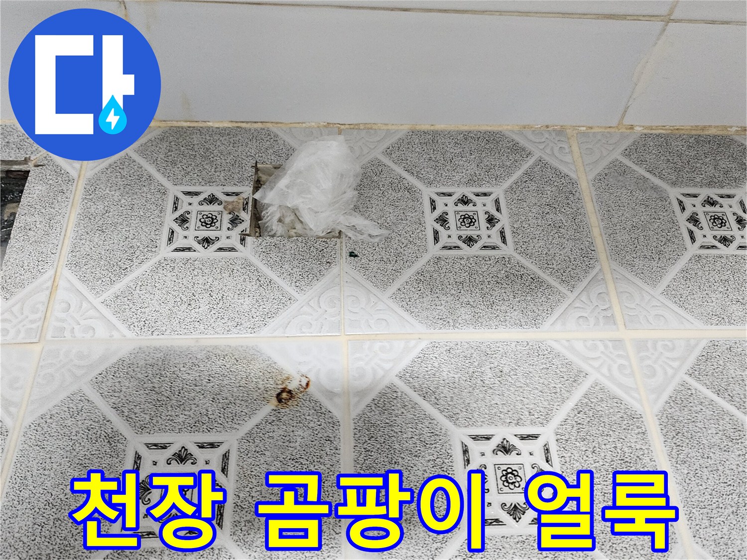포천 구읍리 현장 - 천장 돔 패널에 발생한 검은 곰양과 습기 흔적