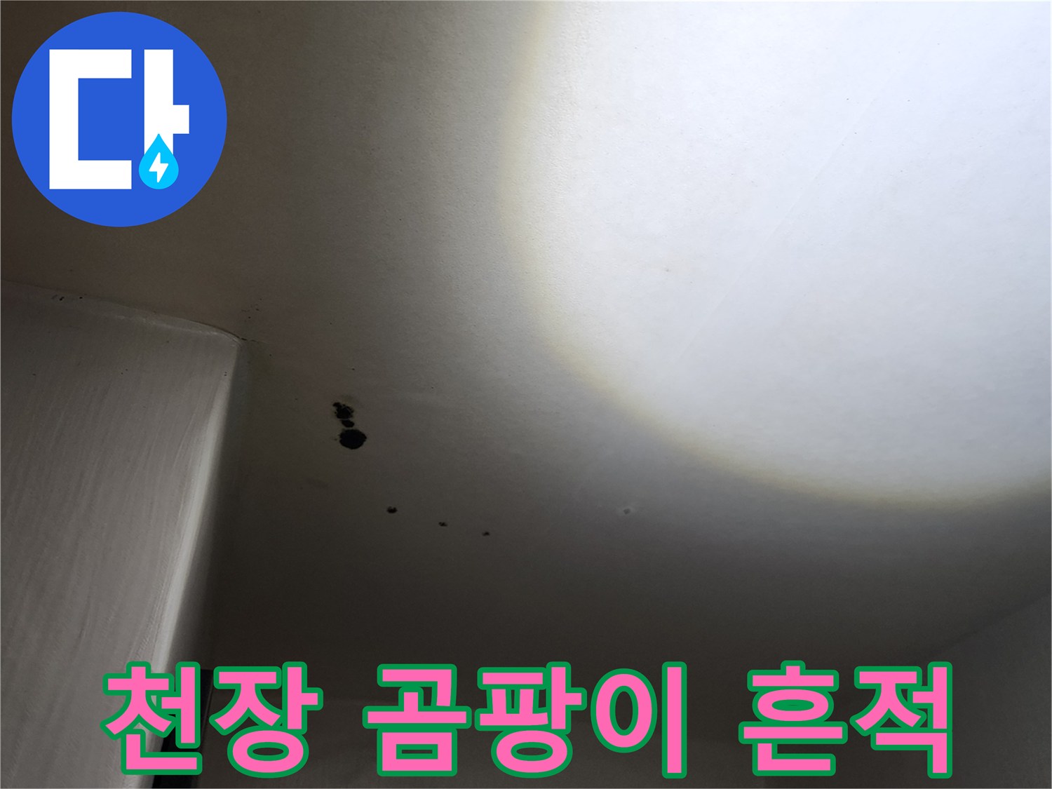 포천 구읍리 현장-천장에 발생한 검은 곰팡이와 습기 흔적