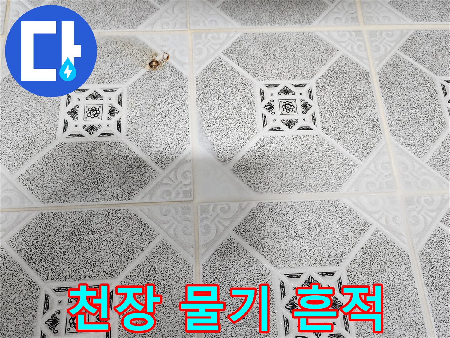 포천 구읍리 현장-축축하게 젖어 변색된 천장 마감재