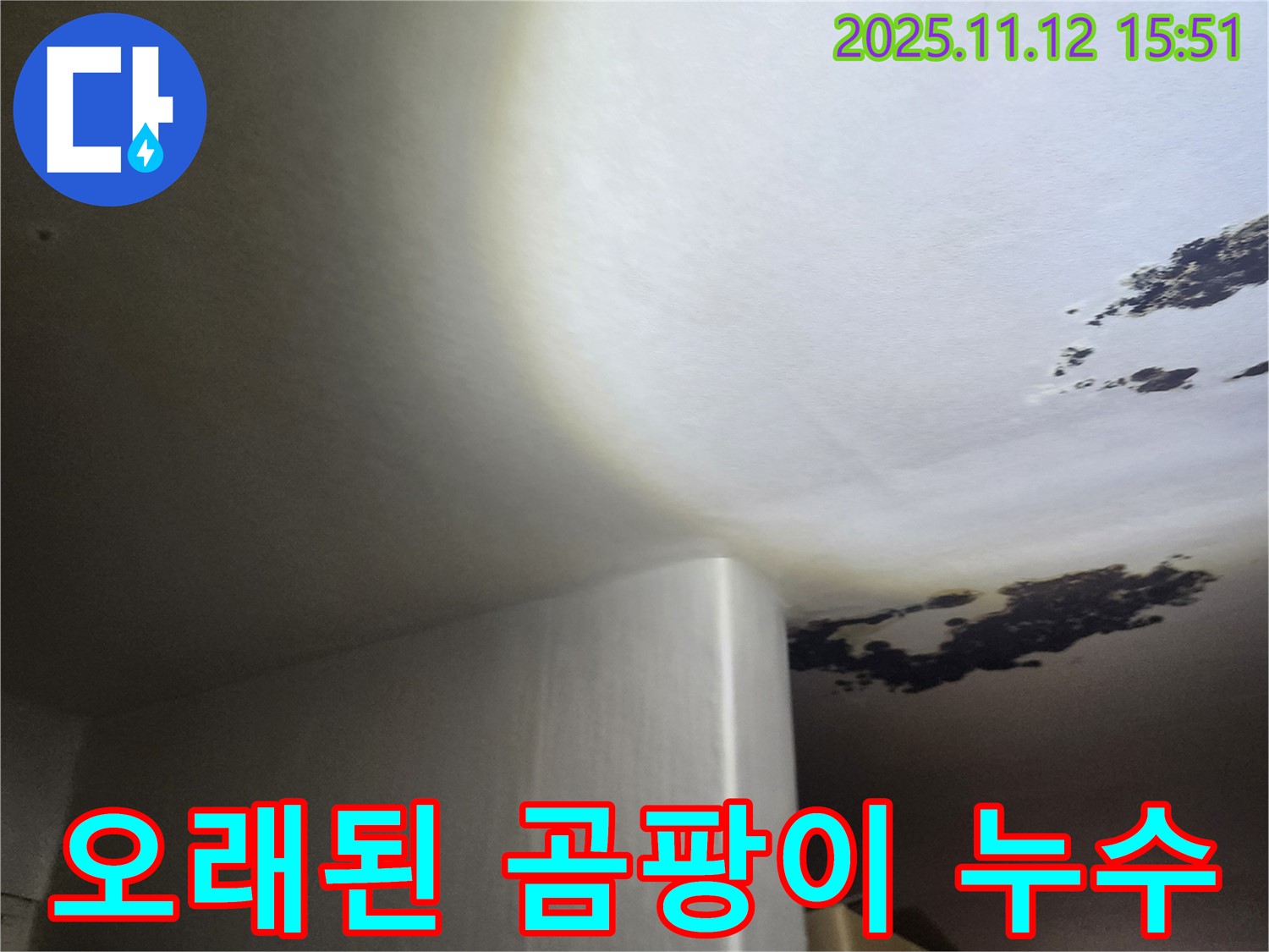포천시 군내면 - 곰팡이가 심하게 핀 오래된 천장 누수 - 건물 전체로 확산될 우려가 있습니다