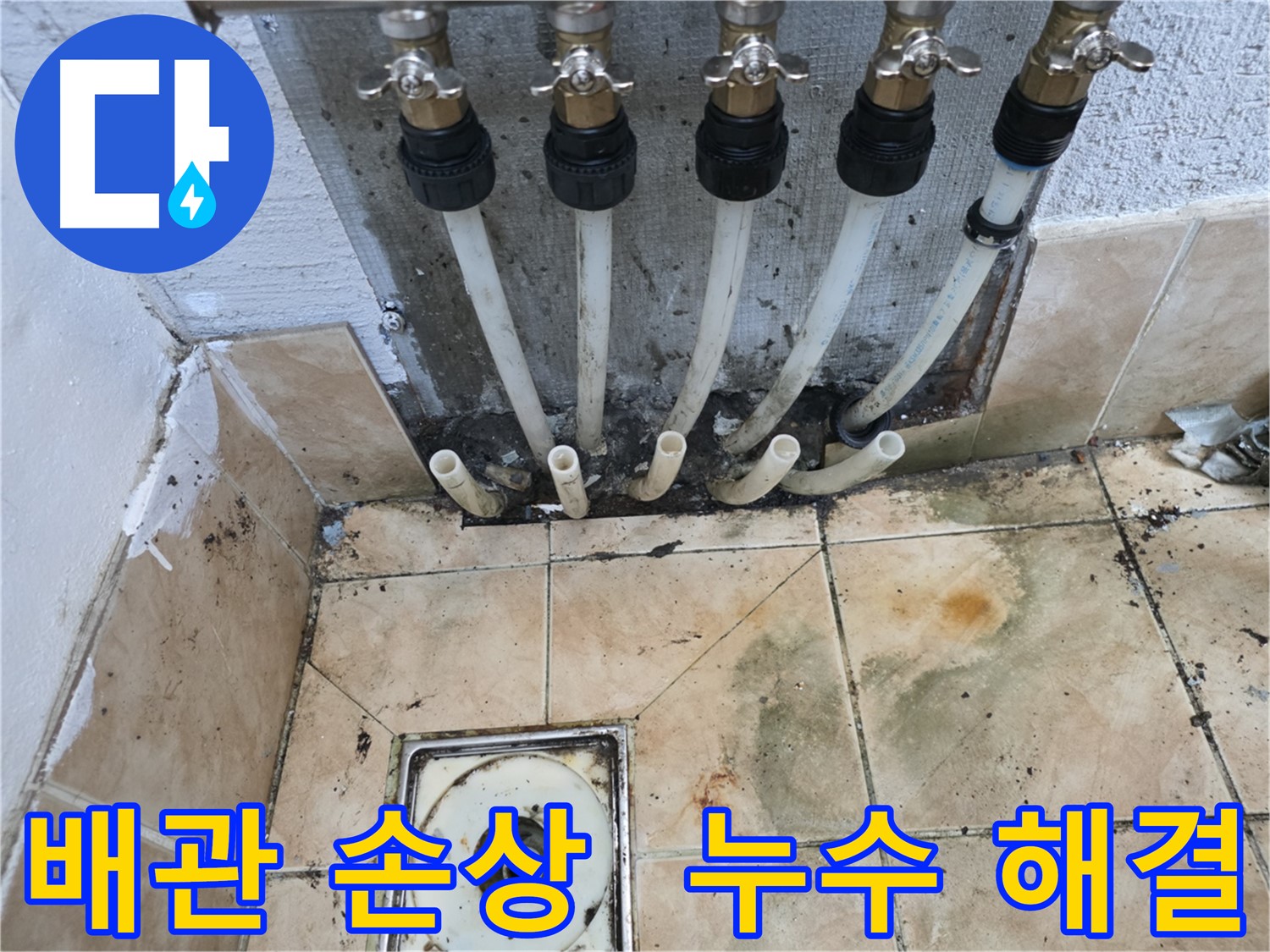 불광동 샤인쉐르빌 누수 - 배관 손상으로 인한 누수 해결