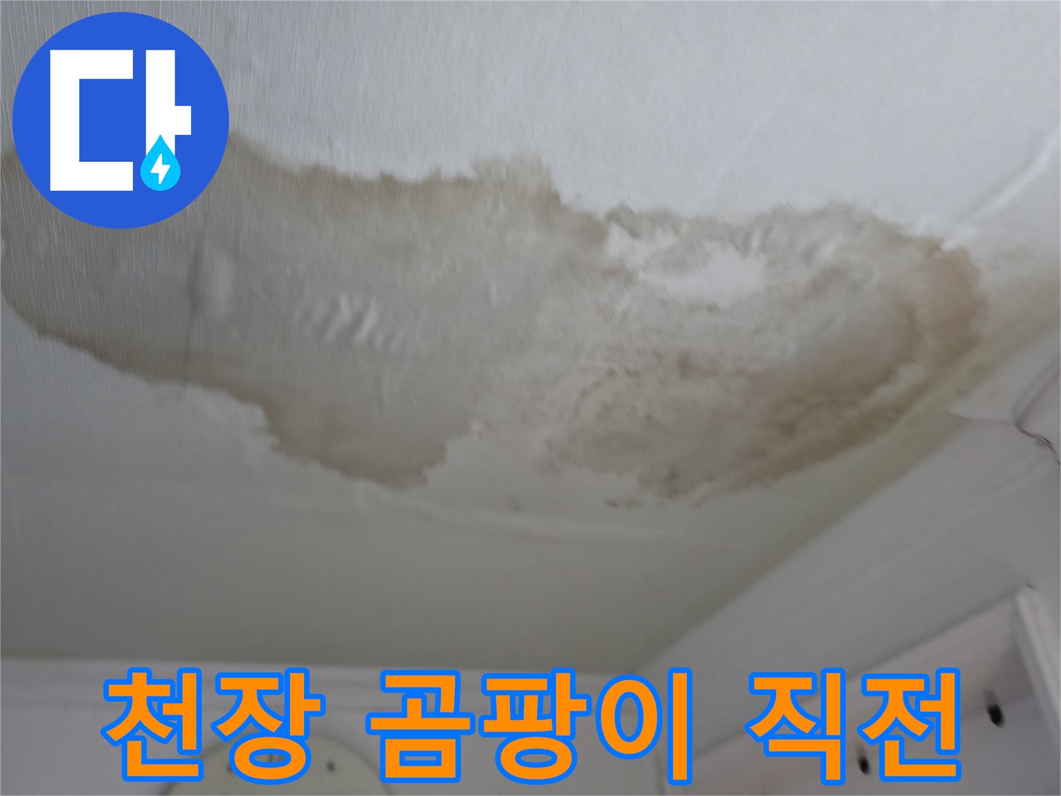 대림동 현대아파트 천장 곰팡이 발생 직전 - 긴급 조치 필요