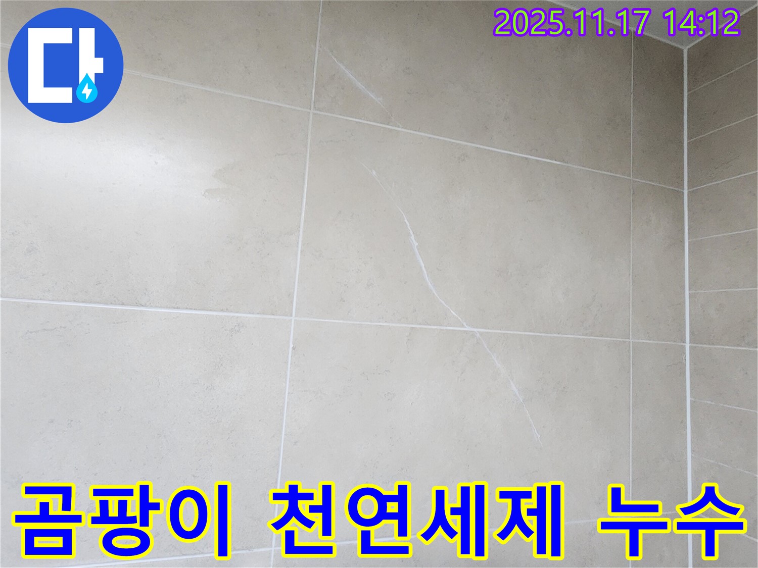 군내면 욕실 타일 - 천연세제 청소 후에도 곰팡이와 누수의 연관성 분석